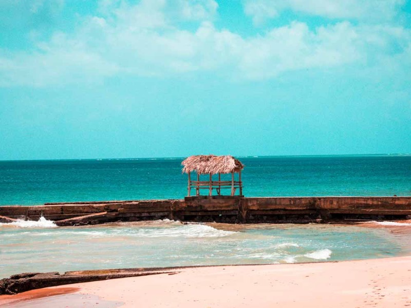 website_thumbnail-76.jpg